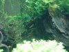 DSC00294.jpg