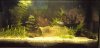 DSC00418.JPG