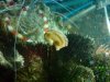 DSC00439a.jpg