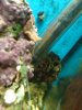 DSC00447a.jpg