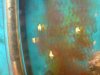 DSC00450a.jpg