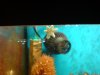 DSC00456a.jpg