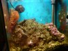 DSC00457a.jpg
