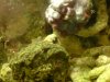 DSC00465a.jpg
