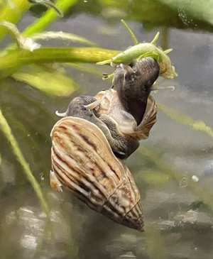 IMG_4701.jpeg
