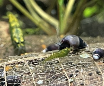 IMG_5521.jpeg