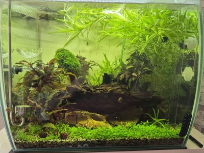 WhatsApp Image 2025-04-29 at 19.46.05.jpeg