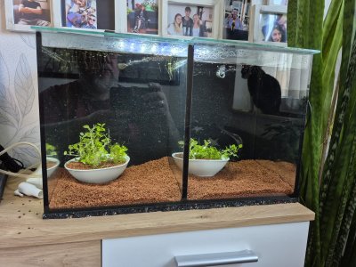 WhatsApp Image 2025-04-29 at 19.45.33.jpeg