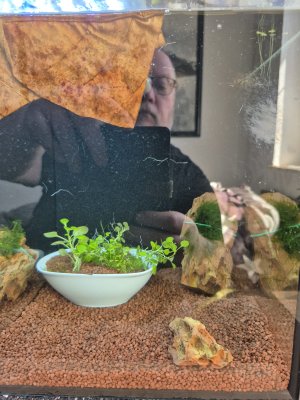 WhatsApp Image 2025-04-29 at 19.45.32(1).jpeg