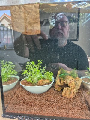 WhatsApp Image 2025-04-29 at 19.45.32.jpeg