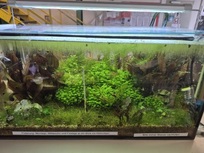 WhatsApp Image 2025-04-29 at 19.45.10.jpeg