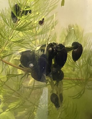 IMG_6862.jpeg