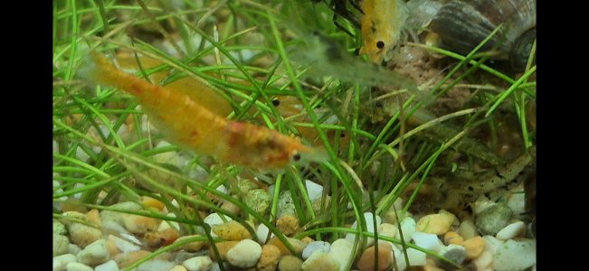 WhatsApp Image 2025-07-16 at 12.47.58.jpeg