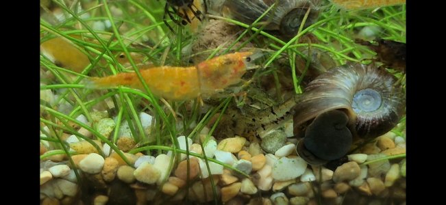 WhatsApp Image 2025-07-16 at 12.47.57(3).jpeg