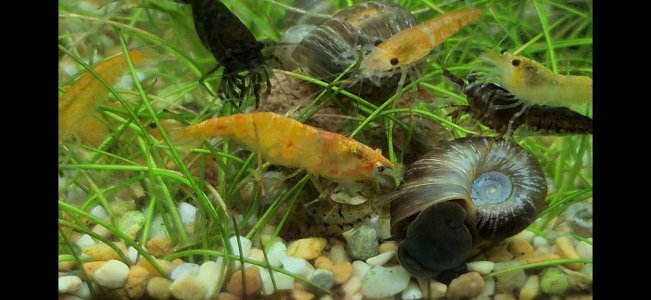 WhatsApp Image 2025-07-16 at 12.47.57(2).jpeg