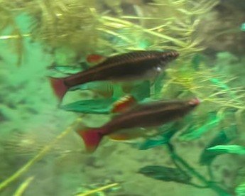 IMG-20250807-WA0011 (1).jpg