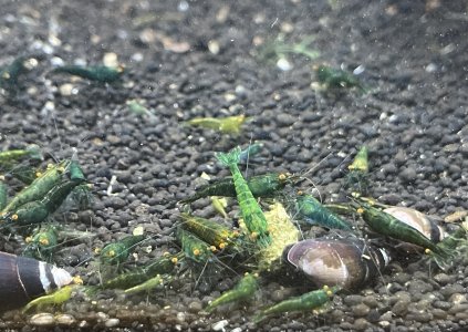 IMG_1924.jpeg