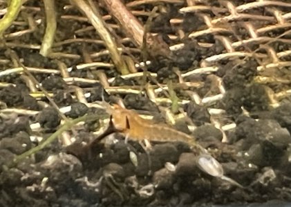 IMG_1748.jpeg