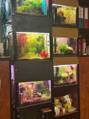 WhatsApp Bild 2025-11-21 um 18.09.31_b1a1f6fc.jpg