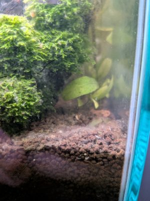 WhatsApp Image 2025-12-01 at 19.19.25.jpeg