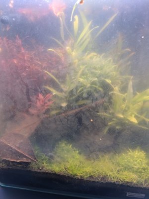 WhatsApp Image 2025-12-01 at 18.57.18 (2).jpeg