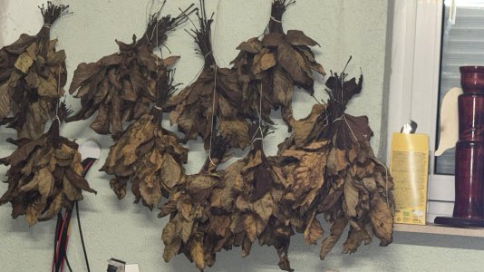 WhatsApp Bild 2025-12-14 um 13.04.45_cdedef0f.jpg