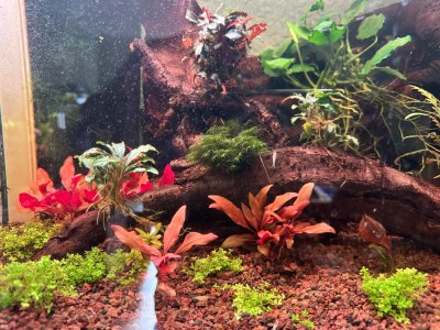 WhatsApp Image 2026-02-28 at 12.28.24.jpeg