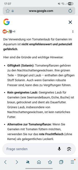 Screenshot_20260301_170715_Samsung Internet.jpg
