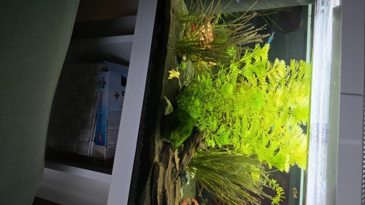 IMG-20260518-WA0010.jpeg