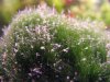 DSCF5643.JPG