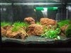 20l.jpg