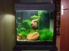 30l.jpg