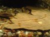 DSC00940.JPG