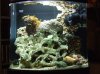 Meerwasseraqua2.jpg