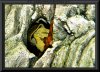 20081115 038.jpg