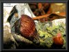 20081119 070.jpg
