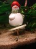 Dsc05688.jpg