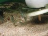 Dsc05708.jpg