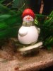 Dsc05716.jpg