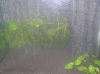 becken links.jpg