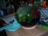 100_6614_1024x768.jpg