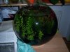 100_6617_1024x768.jpg