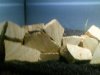 DSC00223.JPG