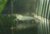 DSCF7579.JPG