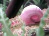 (e)SP_A0667.jpg