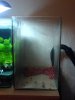 DSC00153.JPG