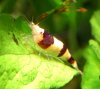 DSC_1600.JPG