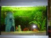 DSC00043.JPG