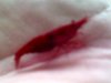 DSC00408.JPG