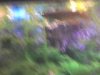 DSC00046.JPG